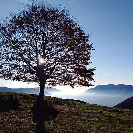 Appenninicus Apartment