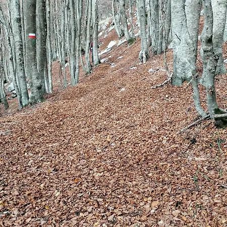 Appenninicus Appartement