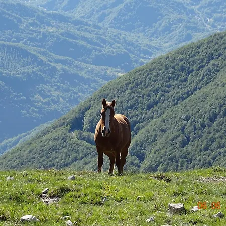 Appartement Appenninicus *