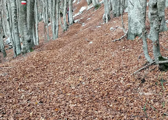 Appenninicus Appartement