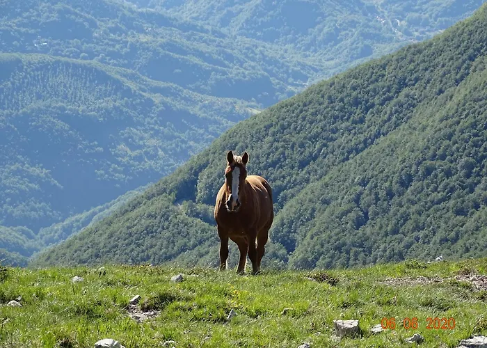 Appartement Appenninicus *